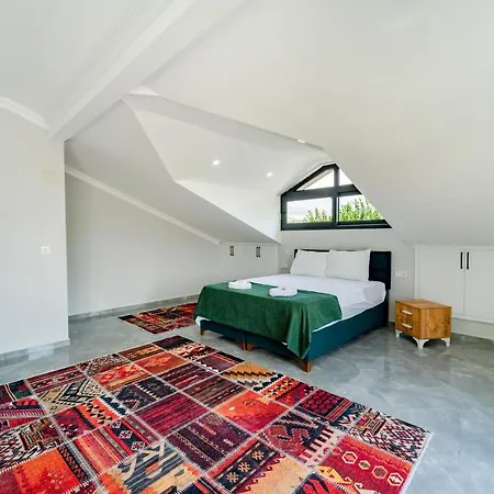 Villa Doga